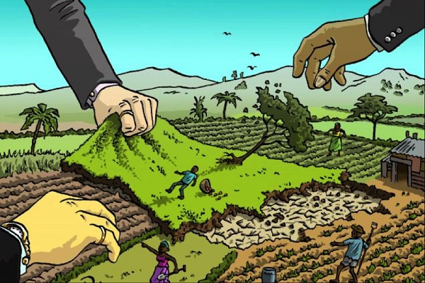  The end of indefeasibility?  Rethinking title security  and the demise of land  speculation in Kenya
