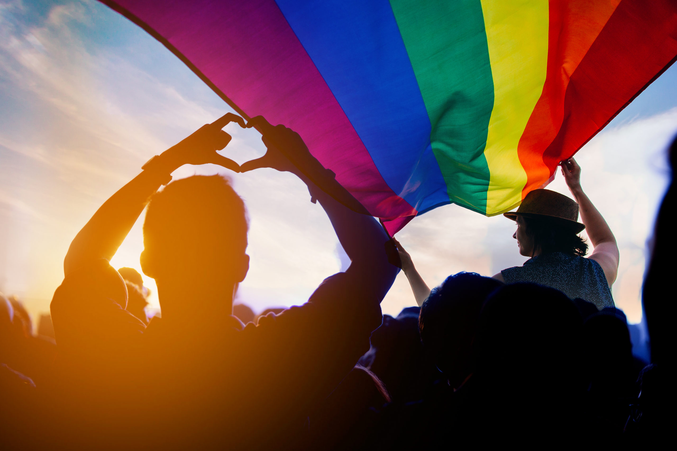 A Critical examination of the  Supreme Court’s Decision on LGBTQ  Rights: Contradictions, oversights,  and unfulfilled Promises